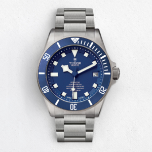 Titanium & Steel Tudor Pelagos